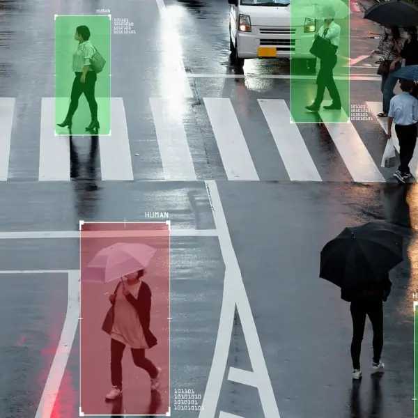 video-analytics-what-we-offer
