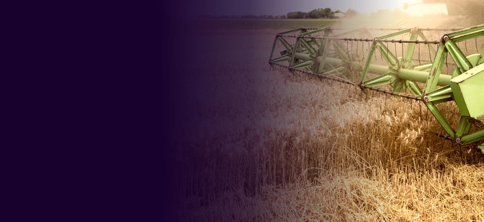 grain-cooperatives-banner